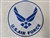 10" USAF Patch
