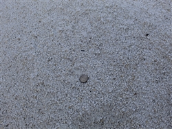 White golf course sand