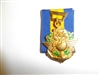 b5686 RVN Vietnam Veterans Medal 1st class Cuu Chien Binh Boi Tinh IR5J