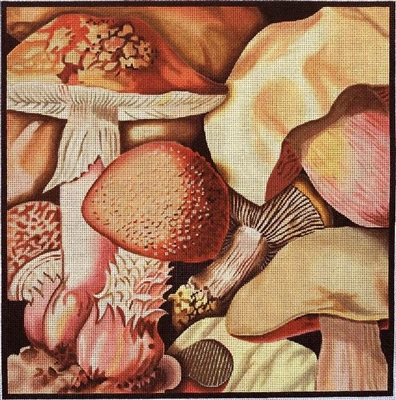 433 Mushroom Collage #2