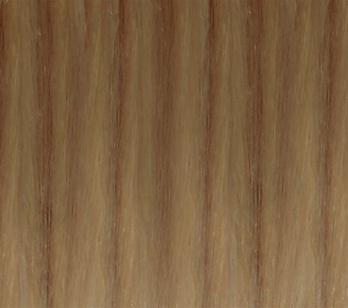 Hair Extension Sample Dark Honey Blond-Platinum Blond MIX