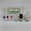 Human Soluble ICAM-3