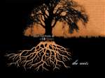 Dan Nichols: Roots (CD)