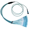 WholesaleCables.com MPLC-32030 30 meter Plenum Fiber Optic Cable 100 Gigabit Ethernet CFP/CXP 100GBase-SR10 to MTP(MPO)/LC (10 Duplex LC) 24 inch Breakout Cable OM3 50/125