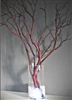 Lighted Manzanita Centerpiece Kit (shipping included!)