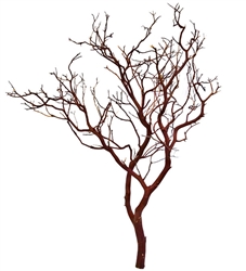 Natural Red Manzanita Branches, 30" Tall  (case of 6, shipping included!)