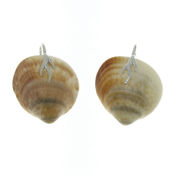 SG1064 Branch of Life Sterling Silver Seashell Earrings