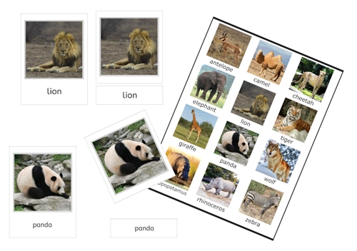 Wild Animals 3-Part Cards (PDF)