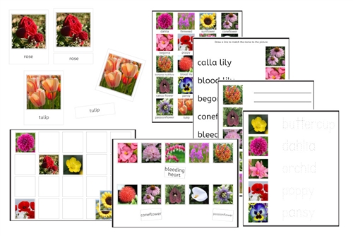 Flowers Exercise Set (PDF)