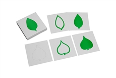 IFIT Montessori: Leaf Cards