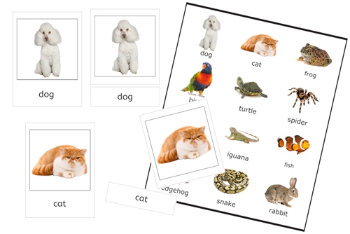 Pets 3-Part Cards (PDF)