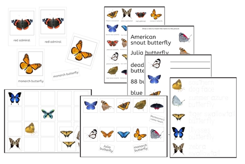 Butterflies Exercise Set (PDF)