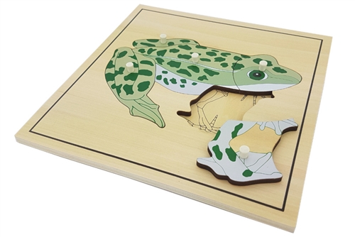 IFIT Montessori: Frog Puzzle with Skeleton