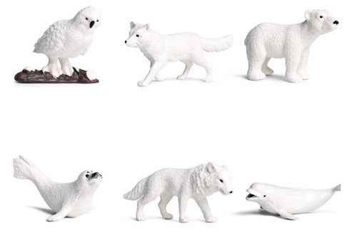 6 Arctic Animal Models