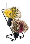 Mobile Flower Display with Vases