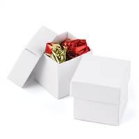 White Shimmer 2 piece Favor Boxes