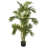 4' Areca Palm Silk Tree
