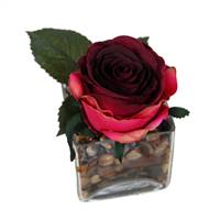 6" Red Rose /Glass Square