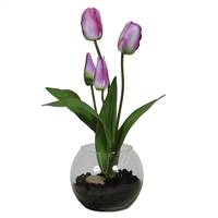 16" Purple Tulip in Rose Bowl /Soil