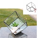 Geometric Glass Terrarium, Heptahedron, Tilted Cube, Black Frame - Width: 8.5", Height: 8.5" (6" Square cube tilted)