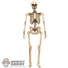 Figure: Coo Models Skeleton Body