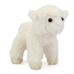 Little Bit the Little Plush White Lamb by Douglas