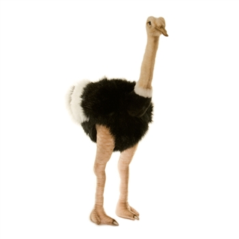 Handcrafted 32 Inch Lifelike Male Ostrich Stuffed Animal by Hansa