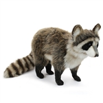 Handcrafted 18 Inch Lifelike Raccoon Stuffed Animal by Hansa