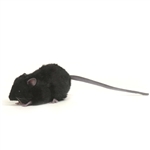 Handcrafted 5 Inch Lifelike Black Rat Stuffed Animal by Hansa