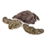 Cuddlekins Green Sea Turtle Stuffed Animal by Wild Republic