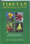 Tibetan Medicinal Plants  <br>  By: Dr. Tenzin Dakpa