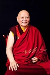 Khenpo Karthar Rinpoche, Portrait