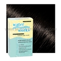 Water Works Permanent Powder Hair Color #22 Brown Black