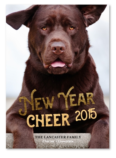 Pet Holiday Cards | The Lab (100% recycled paper)