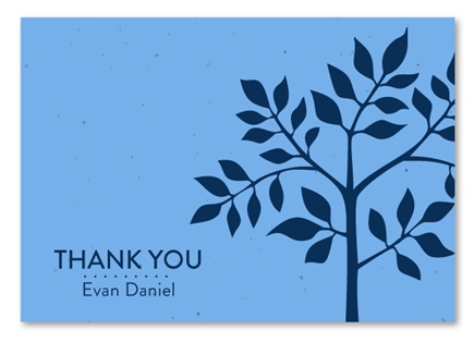 Plantable Thank you cards Shalom Tree
