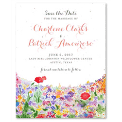 Bright & Happy Wildflowers Save the Date cards with colorful poppies