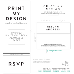 Custom Send n Seal Wedding Invitations | Your Design
