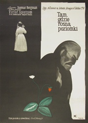 Polish Movie Poster Wild Strawberries
Vintage Movie Poster
Bergman