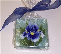 Blue Iris Coasters