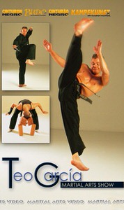 DOWNLOAD: Teo Garcia - How to Martials Arts Show