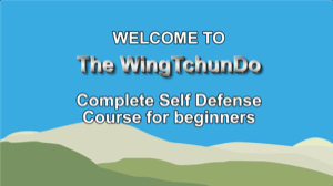 Sifu Fernandez - Wing Tchun Do - Complete Self Defense for Beginners