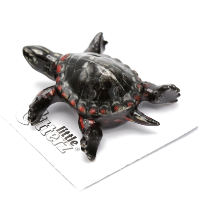 Little Critterz - "Raphael" Painted Turtle