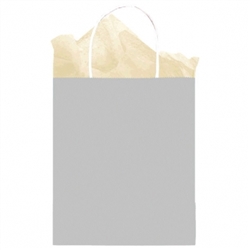 Silver Solid Medium Kraft Bags | Party Supplies