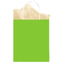 Kiwi Solid Medium Kraft Bags | Party Supplies