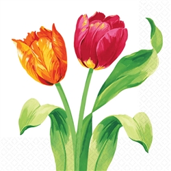 Bright Tulips Beverage Napkins | Party Supplies