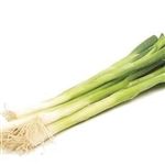Onion Straightleaf (Non bulb)