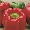 Capsicum Double Up F1 Red