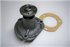 Water Pump with Gasket replaces 830862M91