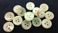 3mm Thick 3-Hole Trocas Shell Buttons
