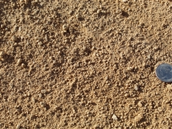 Shasta Gold Decomposed Granite 3/8" Minus - Sand For Pavers